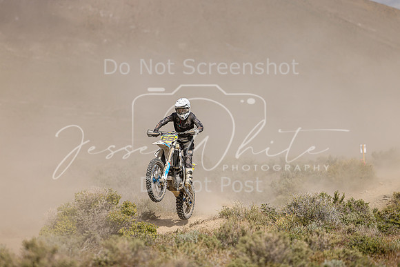 IMG_9942-66t