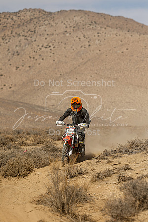 IMG_8784-12j