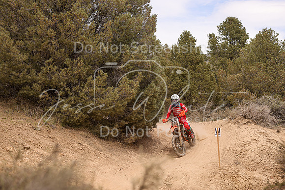 IMG_6223-87