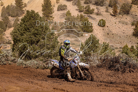 IMG_9376-