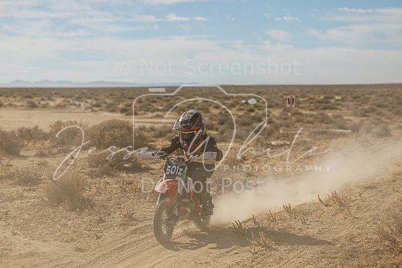 IMG_7640-501z