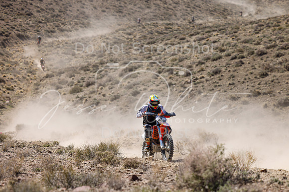IMG_0652-4m