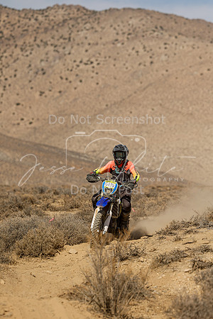 IMG_8747-513v