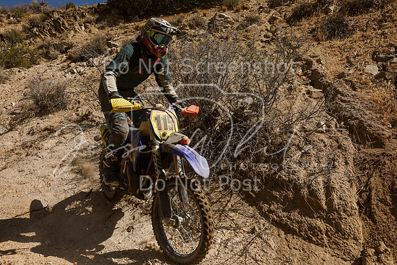 IMG_6262-115a