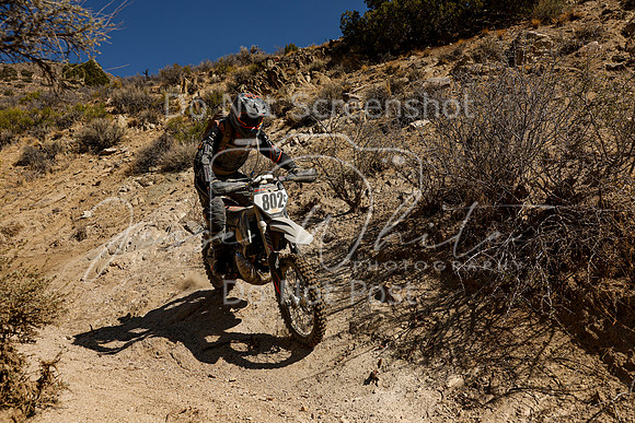 IMG_6270-802c