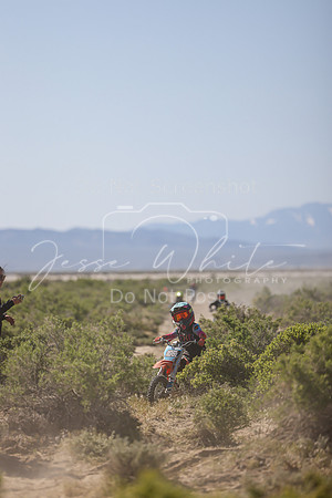 IMG_8312-106z