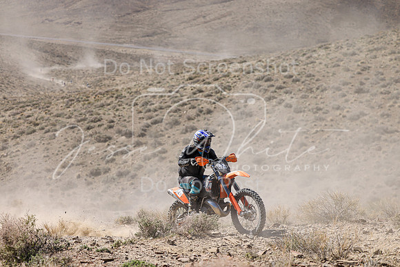 IMG_0667-62s
