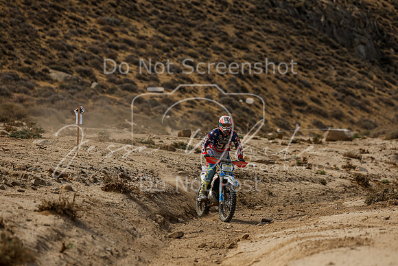 IMG_7358-51n