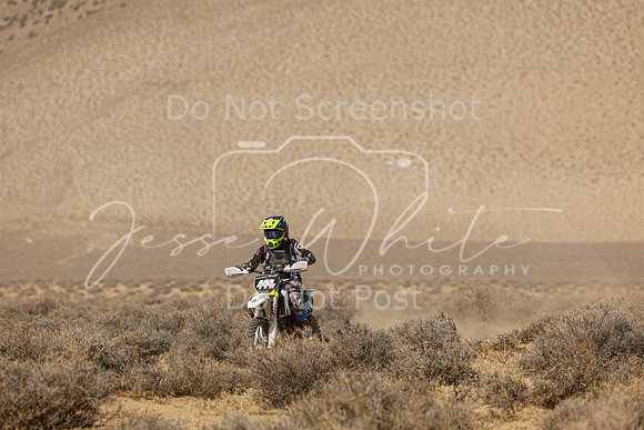 IMG_8533-444v