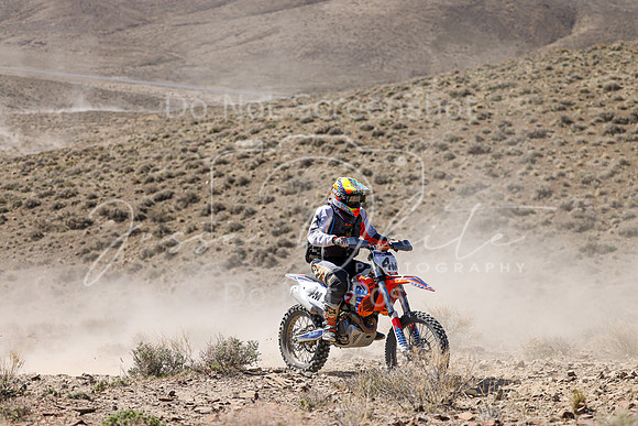 IMG_0653-4m