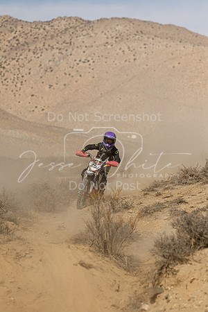 IMG_8619-25j
