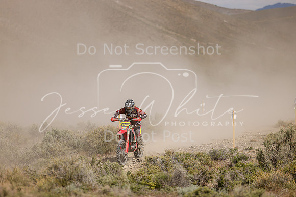 IMG_9924-82w