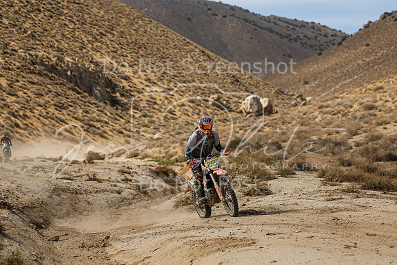 IMG_7178-259n