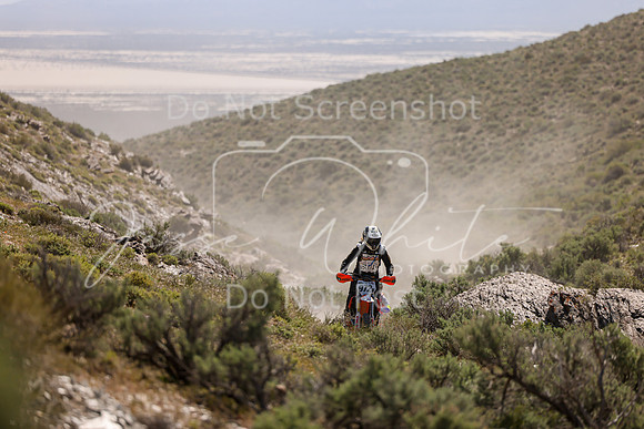 IMG_8480-972v