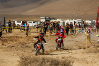 IMG_7576-501z