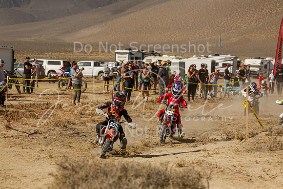 IMG_7576-501z