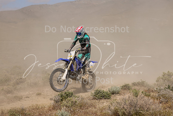 IMG_9959-388x