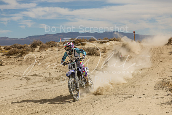 IMG_8979-828v