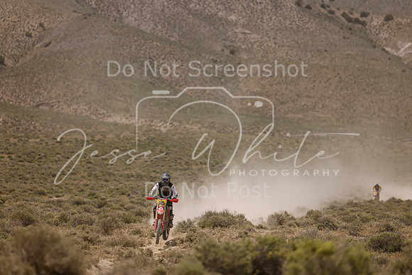 IMG_1214-80t