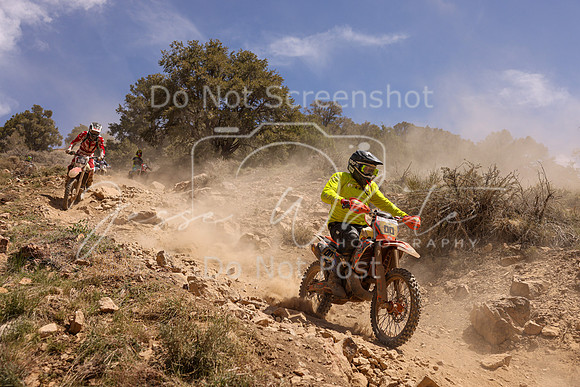 IMG_4992-00