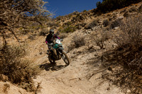 IMG_6256-1p