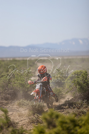 IMG_8362-65z