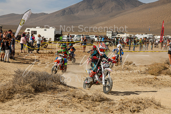 IMG_7905-131e