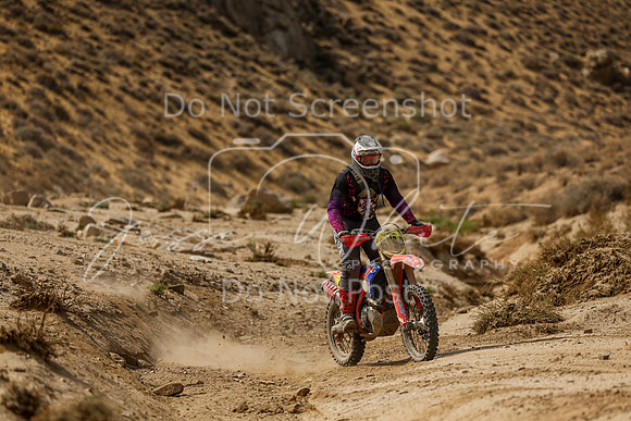 IMG_7441-615p