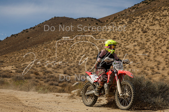 IMG_7328-474w