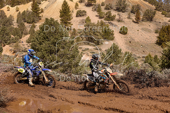 IMG_9107-156-241