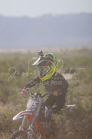IMG_8231-5z
