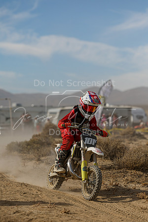 IMG_7841-101z