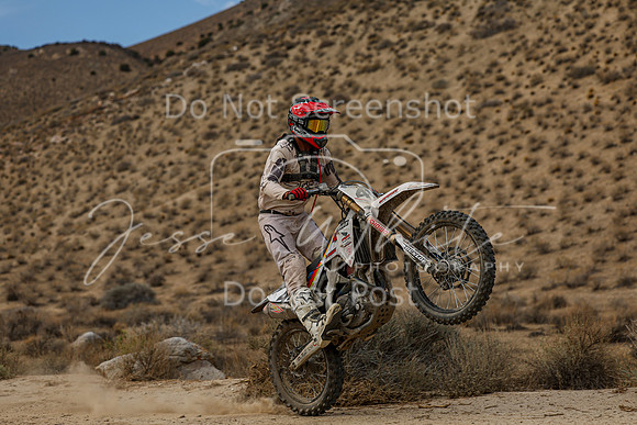 IMG_7498-41n