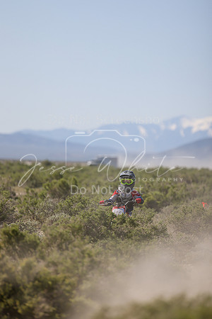 IMG_8203-20z