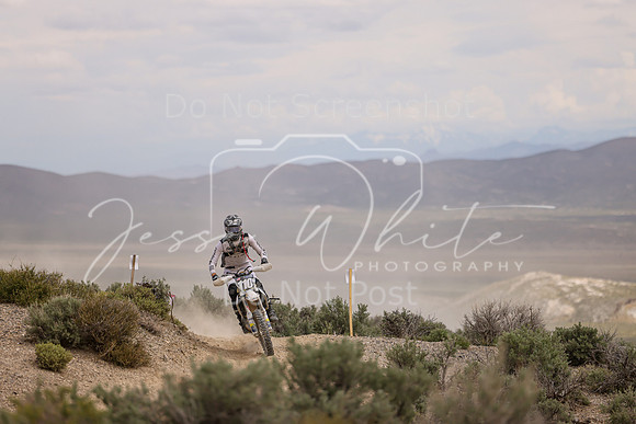 IMG_0530-110a