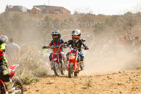 IMG_9947-39-29