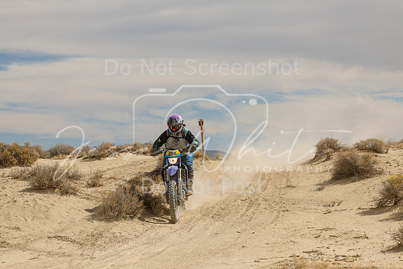 IMG_9125-214v