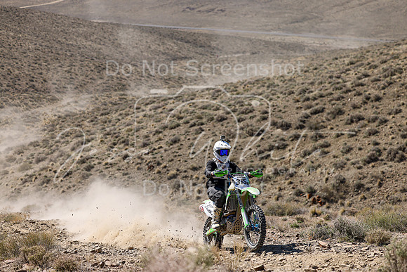 IMG_0536-315n