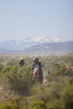 IMG_8316-33