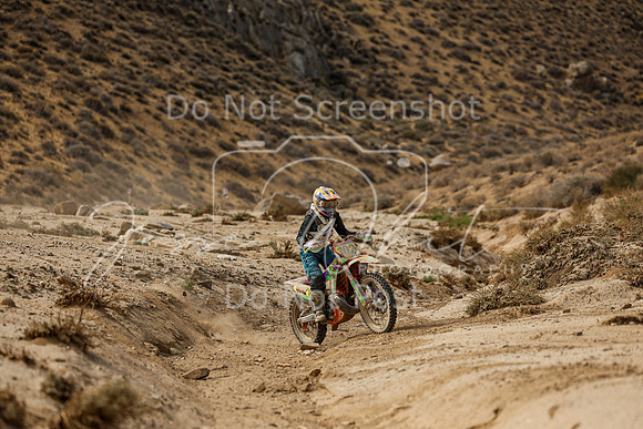 IMG_7400-102w