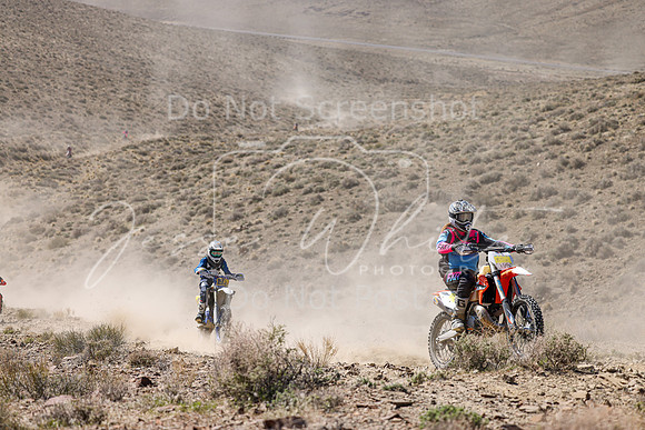 IMG_0711-85n