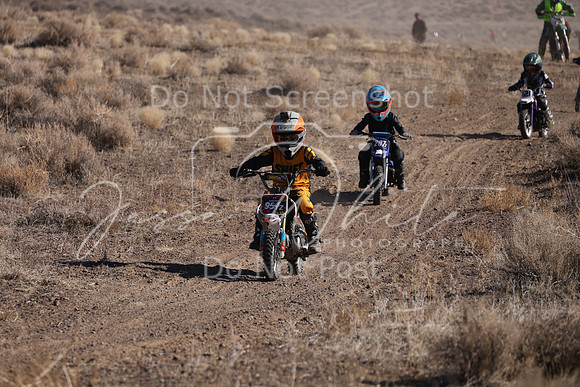 IMG_7267-954z-207z