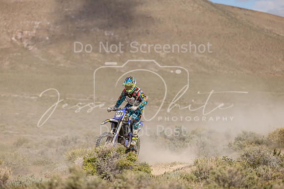 IMG_9801-311x