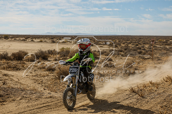 IMG_7662-728z