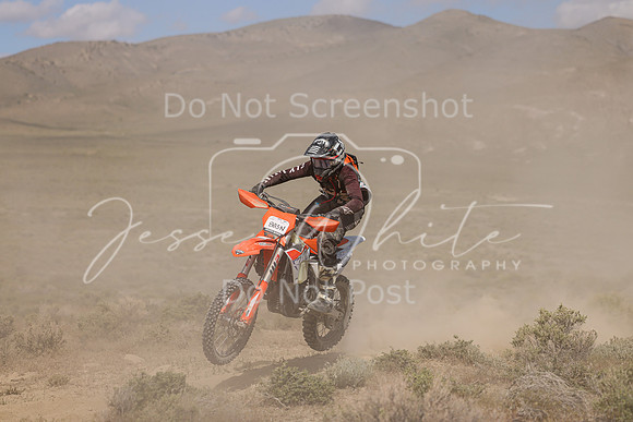 IMG_0071-883n
