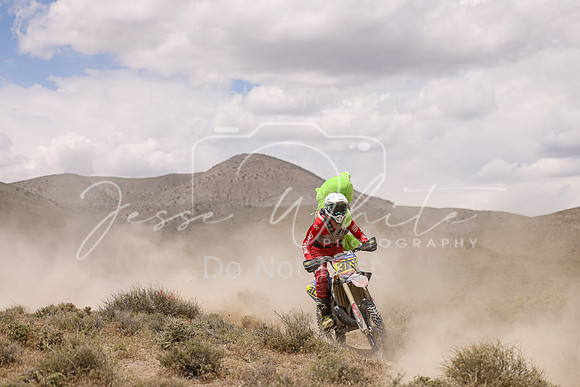 IMG_1247-313x