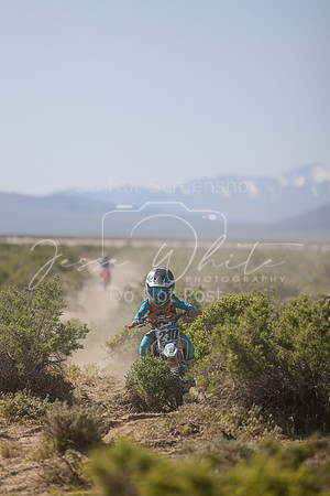 IMG_8355-210z