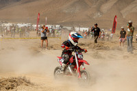 IMG_7918-81e