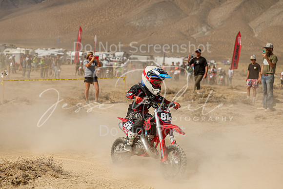 IMG_7918-81e