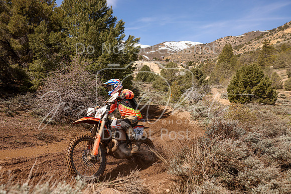 IMG_8699-154